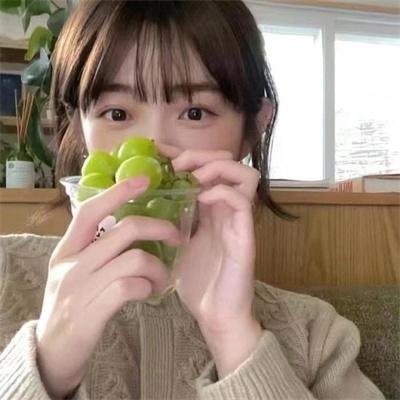 高达自画像